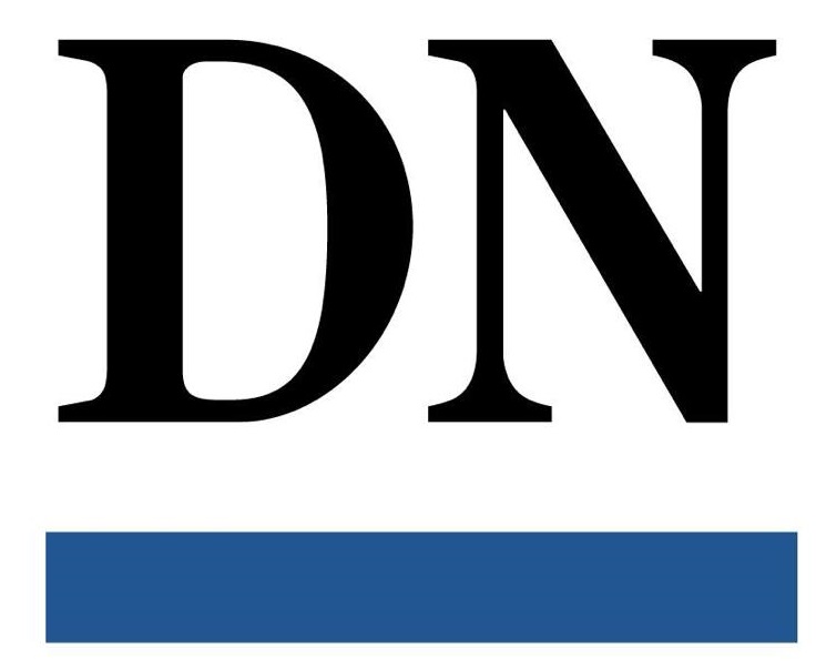 Patrocinador. Logo de Diario de Navarra